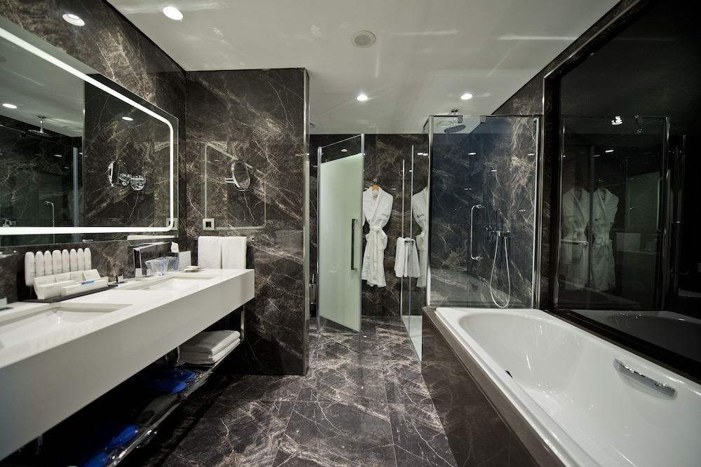 Radisson Blu Hotel, Kayseri 75/77