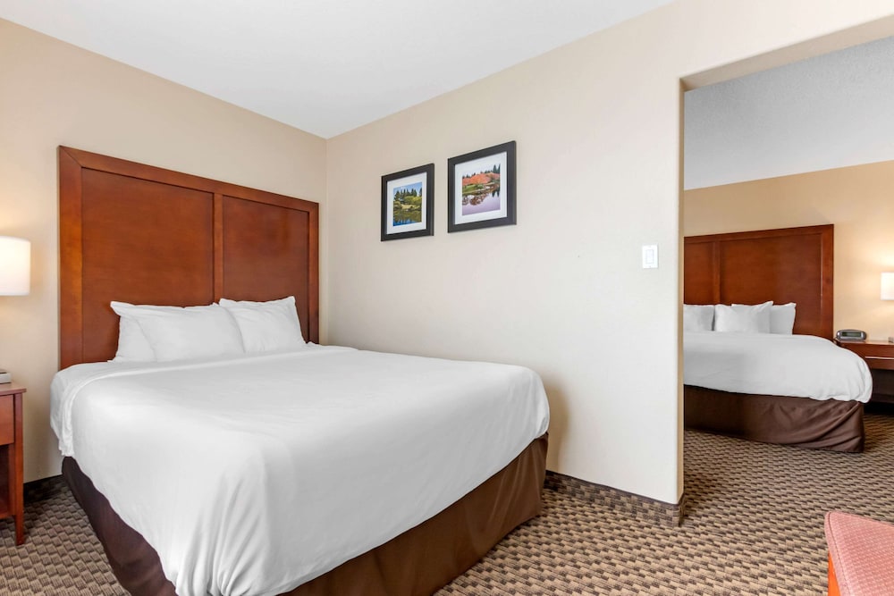 Comfort Inn Lethbridge South 20/43