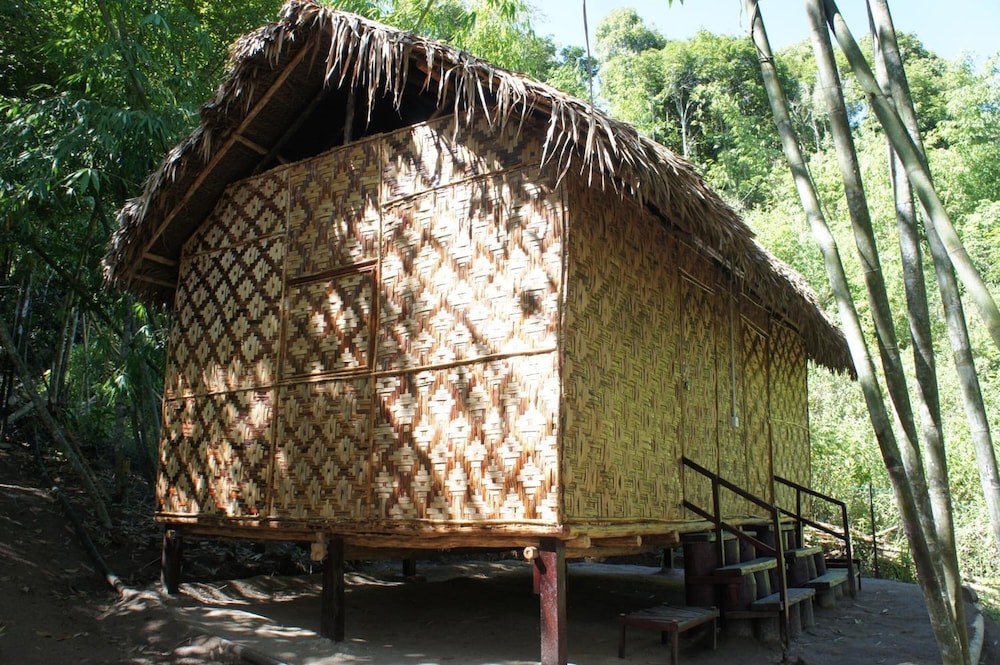 Rain Forest Inn 41/66