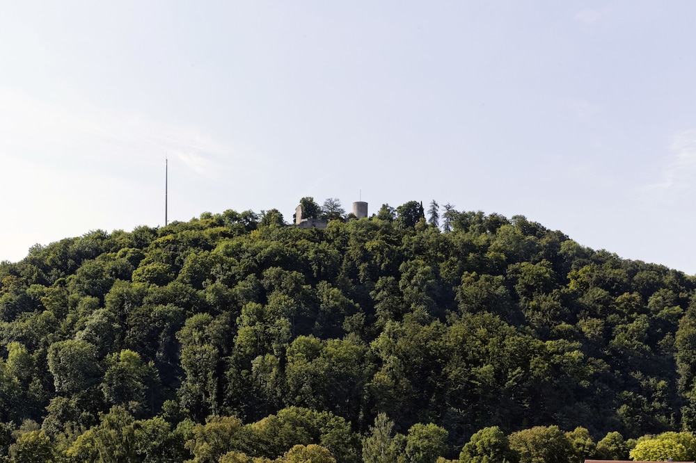 Ibis Styles Nagold Schwarzwald 61/66