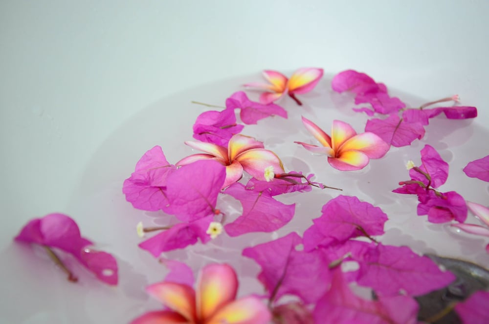 CHONGKHAO RESORT 24/48