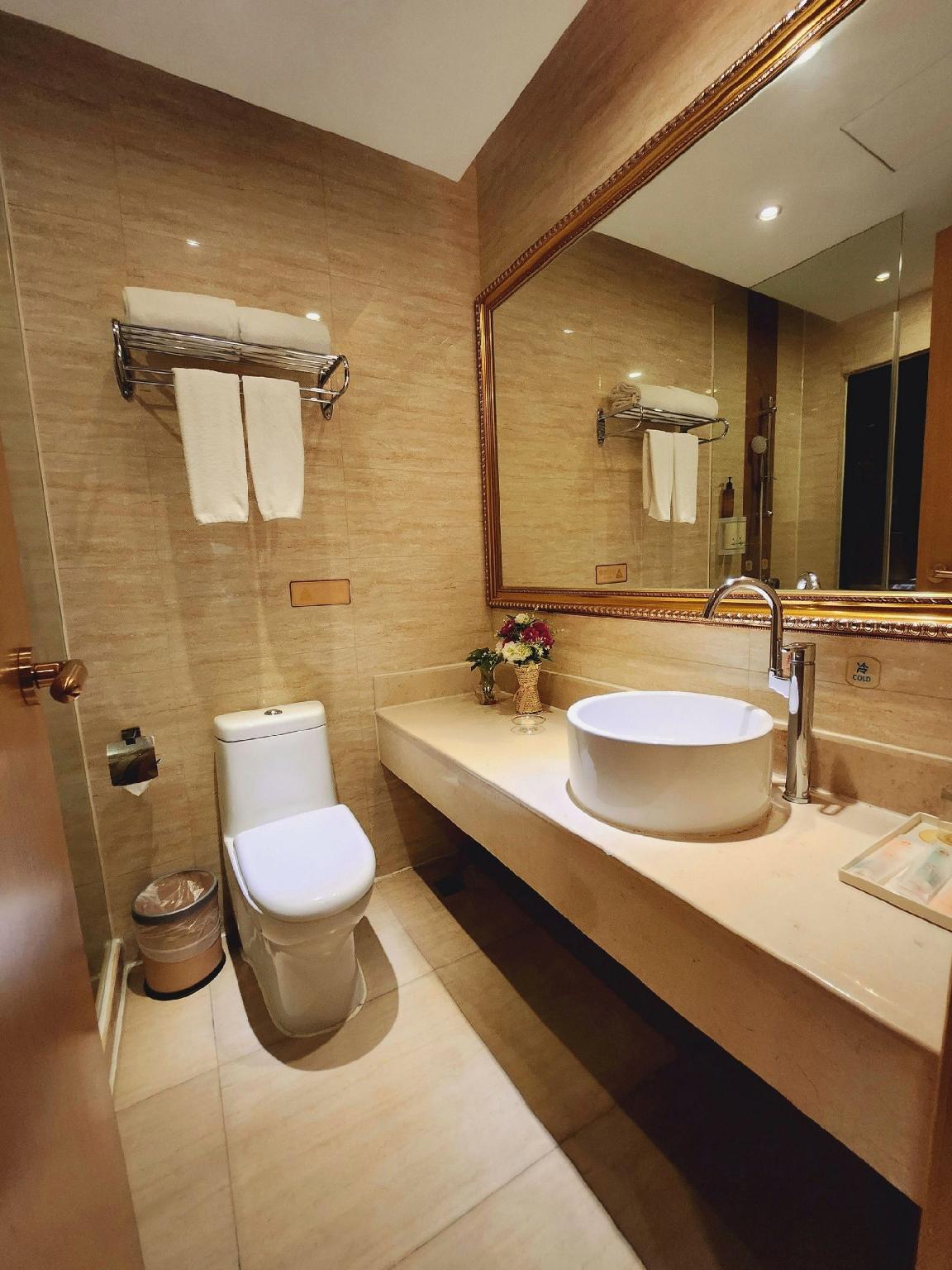 Vienna 3 Best Hotel (Shenzhen Longhua Dalang Commercial Center) 34/35