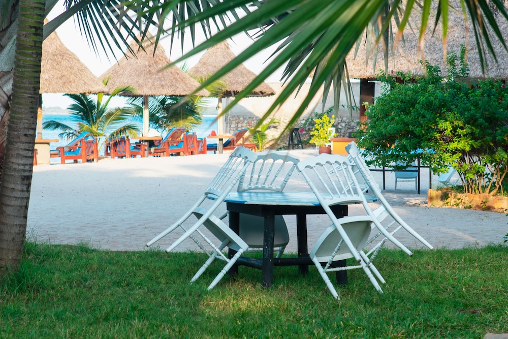 Perfect Home Two minutes to Kijiji Beach [VR] 30/50