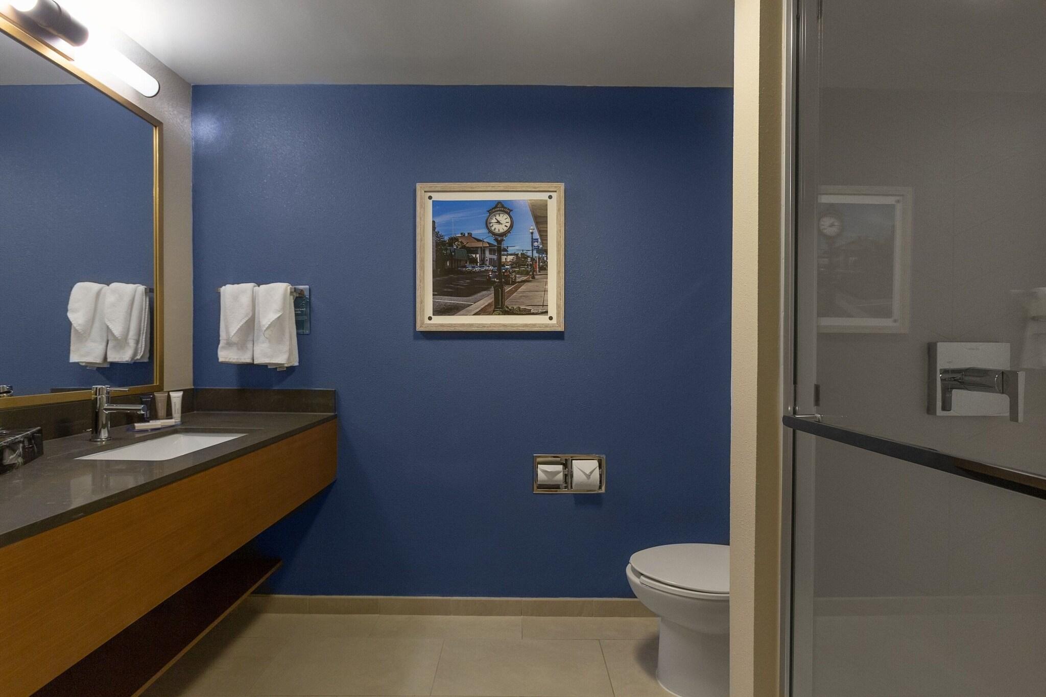 غرفة بسرير مزدوج لذوي الإعاقة، Fairfield Inn Suites Elizabeth City 4/4