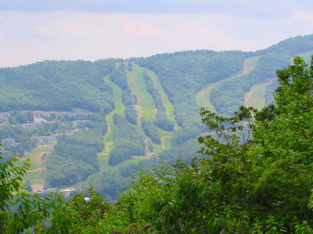 Mountainside Villas At Massanutten By Kees Vacations 45/49