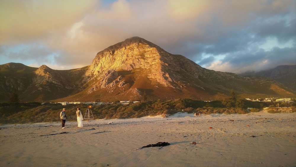 African Pride Mosselberg On Grotto Beach 42/50