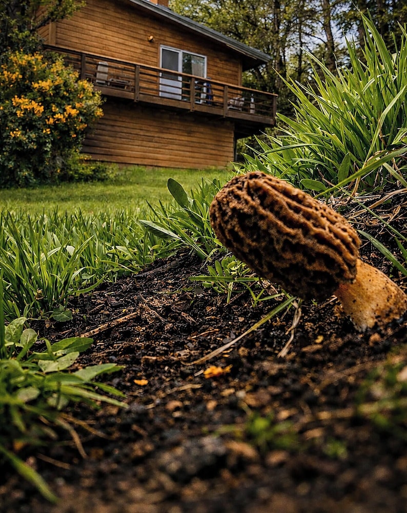 Calafate Lodge Patagonia 44/52