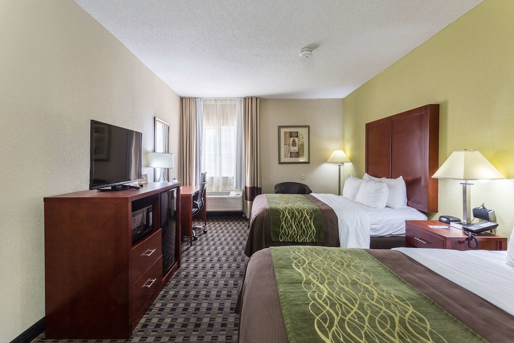 Comfort Inn Decatur Priceville 15/49