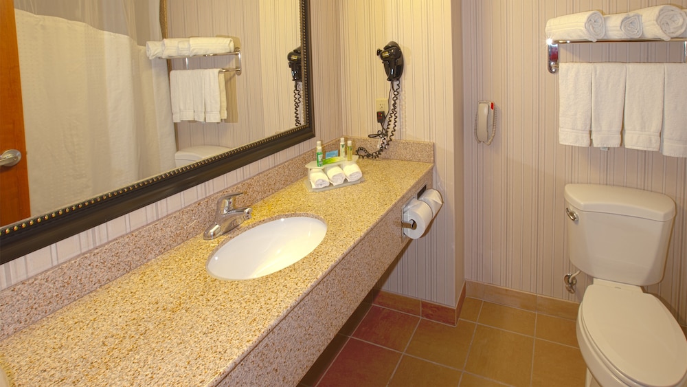 Holiday Inn Express & Suites Nampa - Idaho Center 32/78