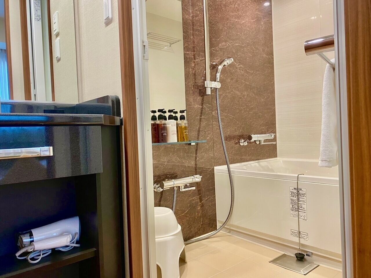 City, Single, Smoking، Hotel Meldia Shijo Kawaramachi 5/6