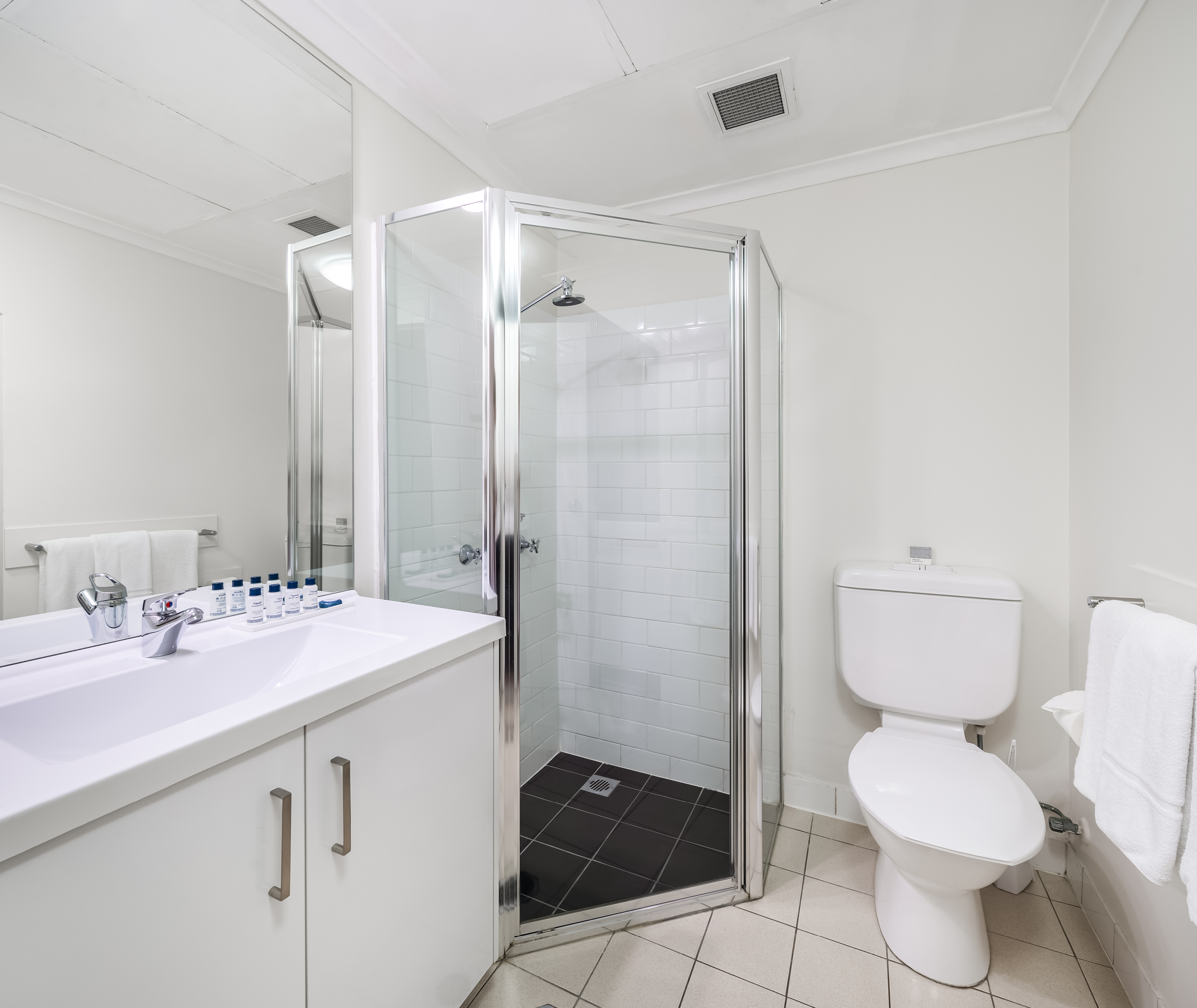 2 Bedrooms, Apartment, City Skyline View، Oaks Sydney Goldsbrough Suites 6/8