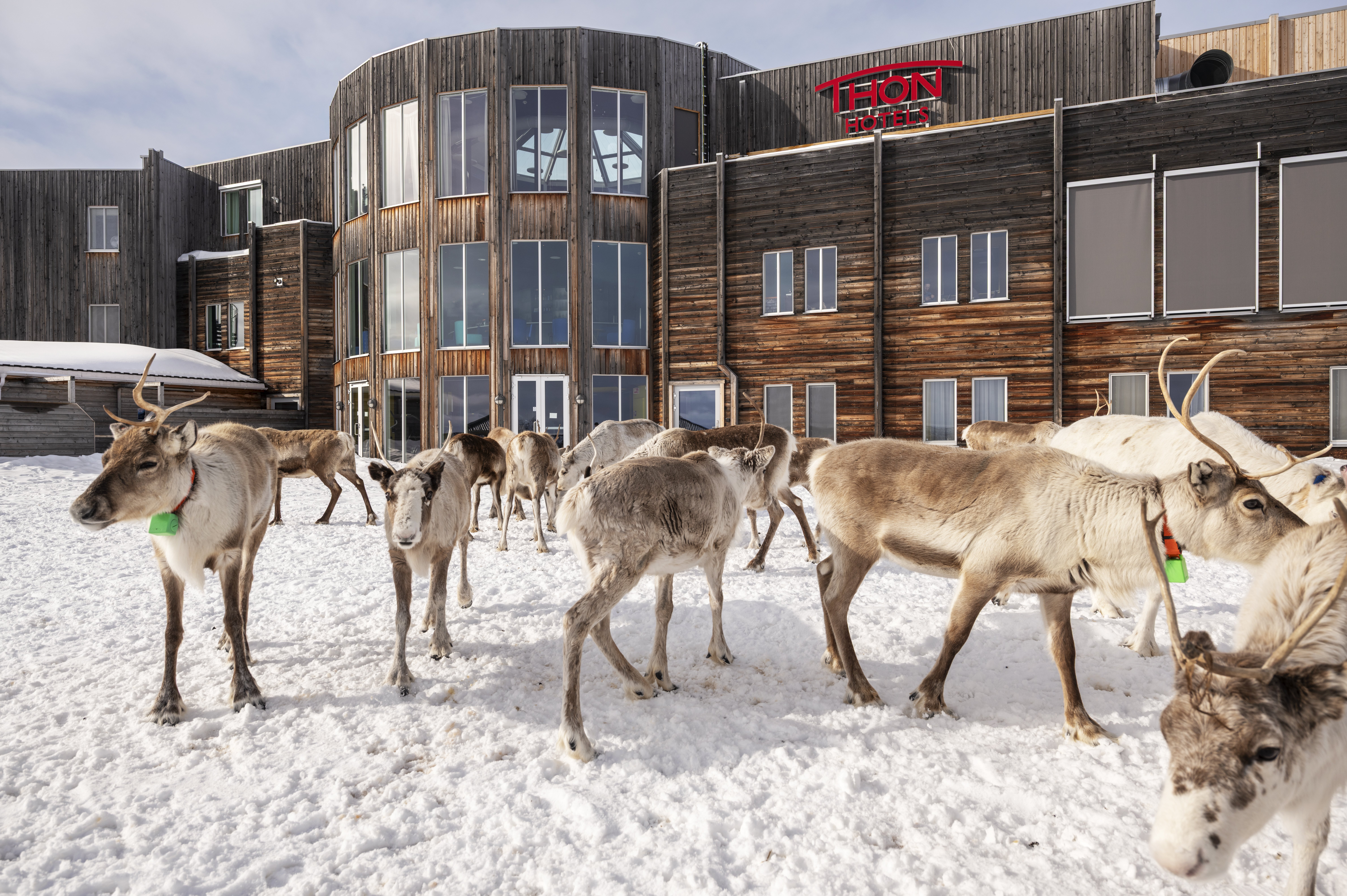 THON HOTEL KAUTOKEINO 56/57