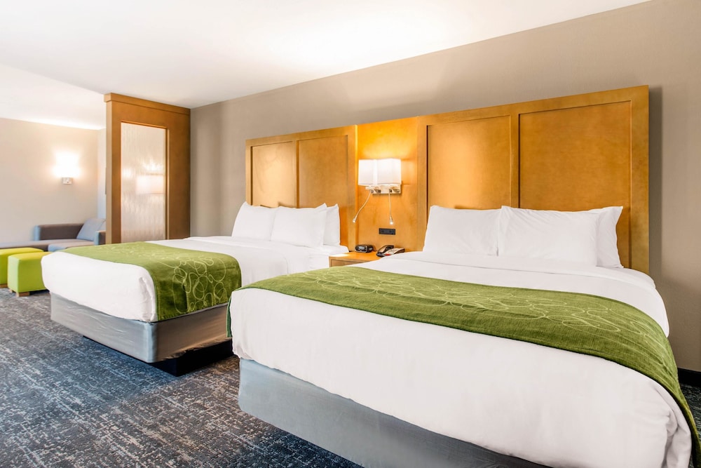 Comfort Suites North Charleston - Ashley Phosphate 13/32