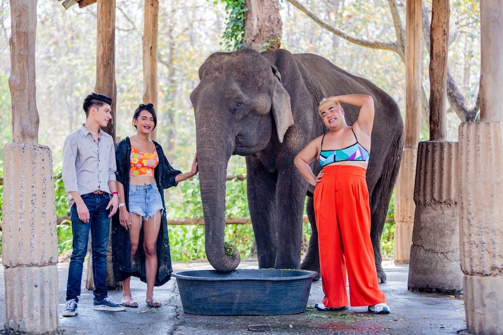 Sappraiwan Elephant Resort & Sanctuary 5/50