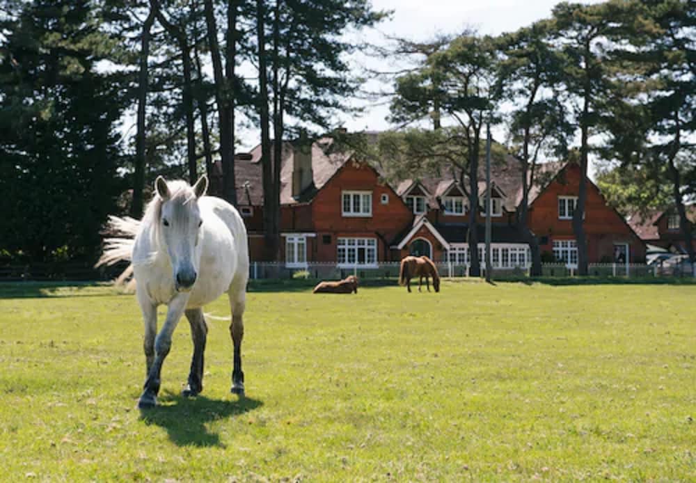 Beaulieu Hotel 49/50
