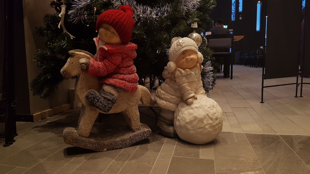 Santa's Igloos Arctic Circle 29/46
