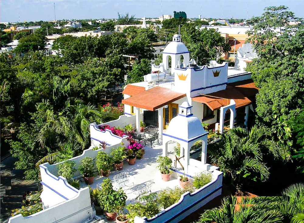 Eco Hotel El Rey del Caribe 3/50