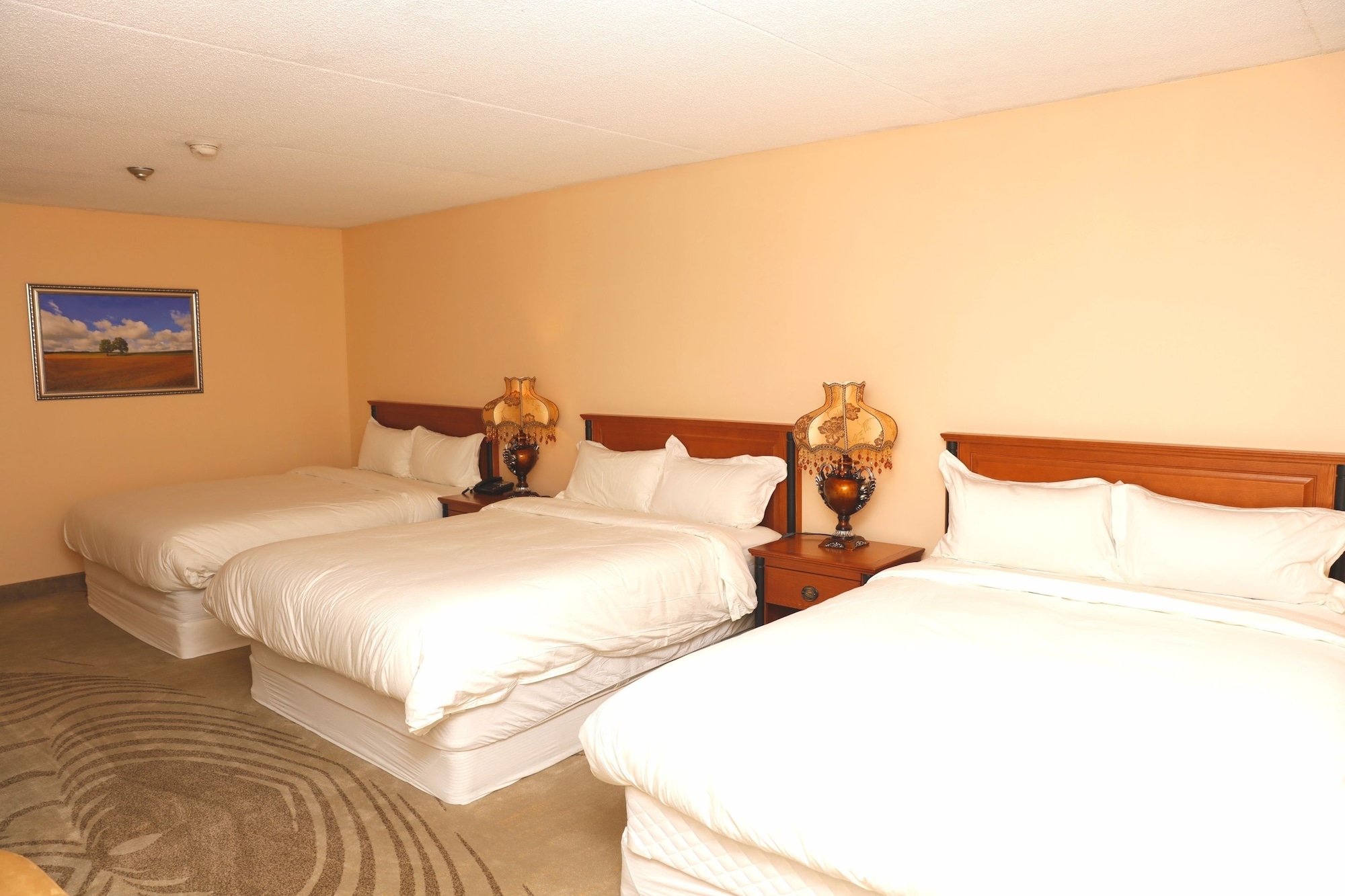 FAMILY, MULTIPLE BEDS