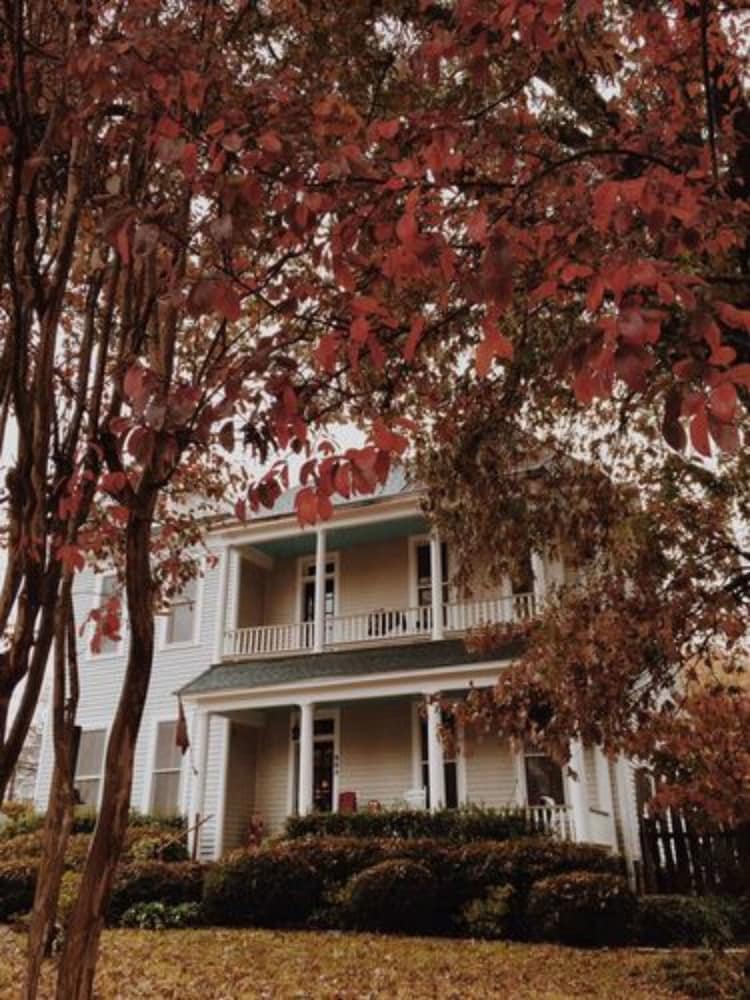 Fig Tree Manor 2/45