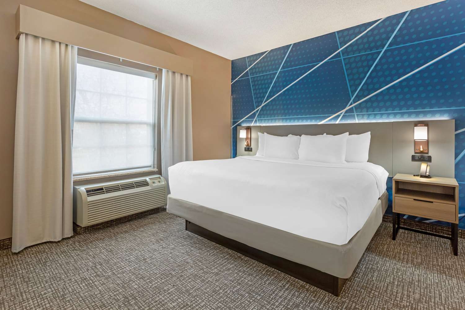 Suite, King Bed