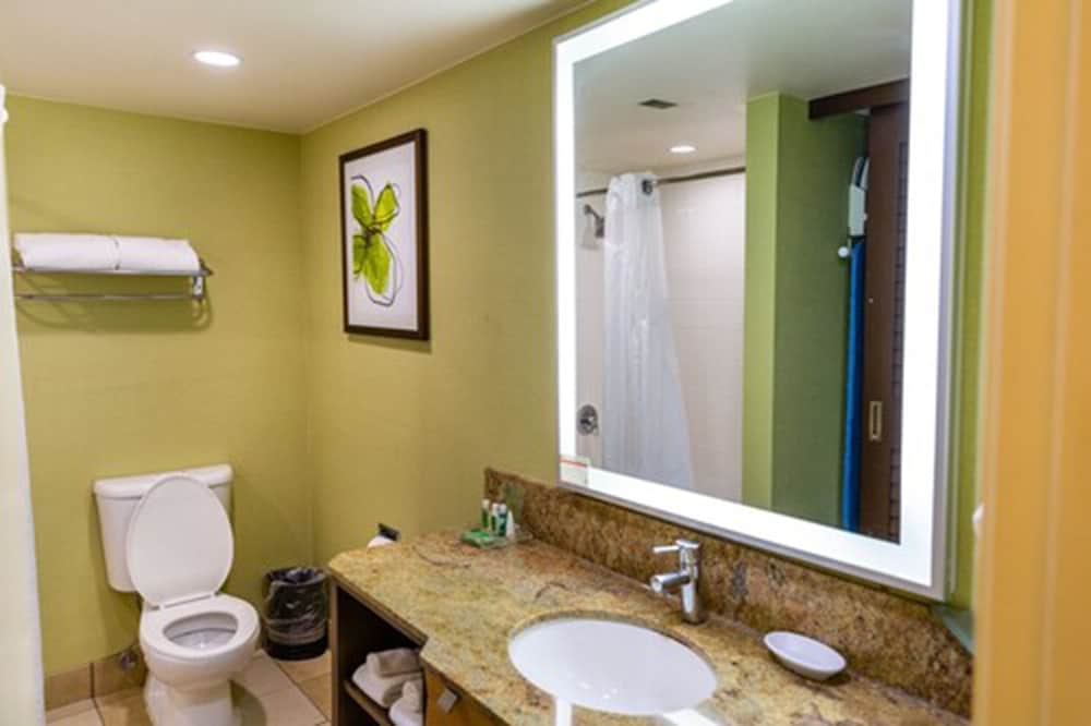 HOLIDAY INN SAN JOSE - SILICON VALLEY 16/67