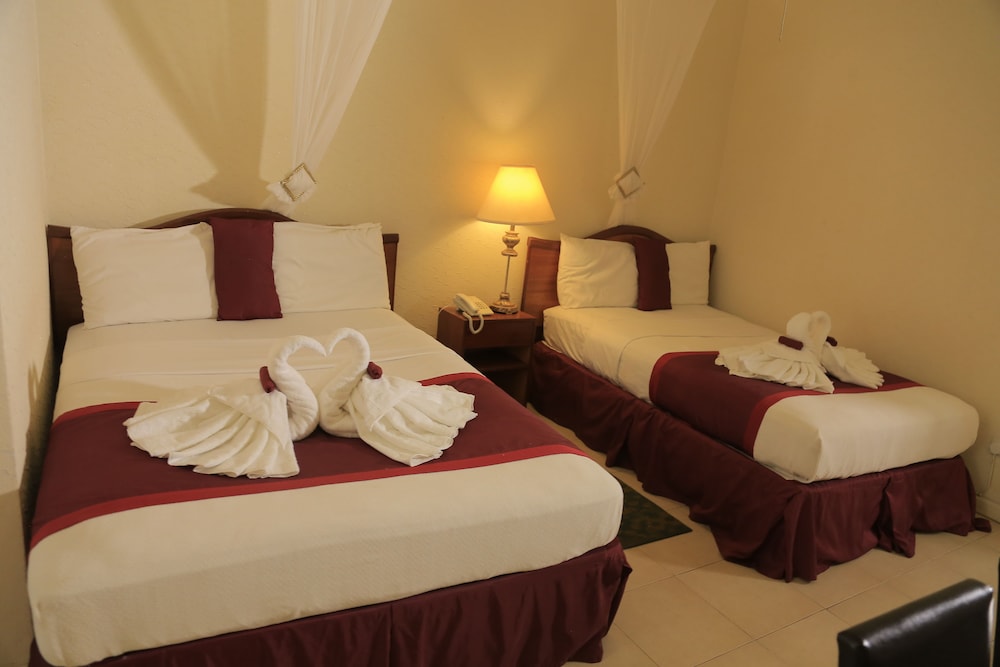 Executive Airport Hotel 12/50