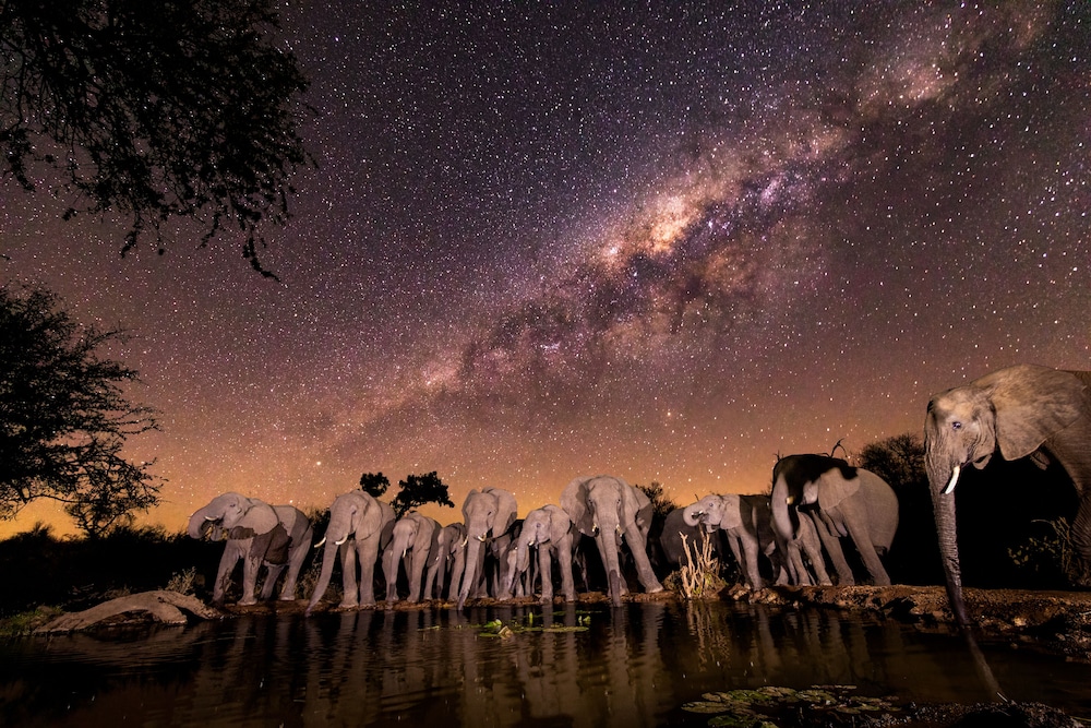 Antares Bush Camp & Safaris 36/50