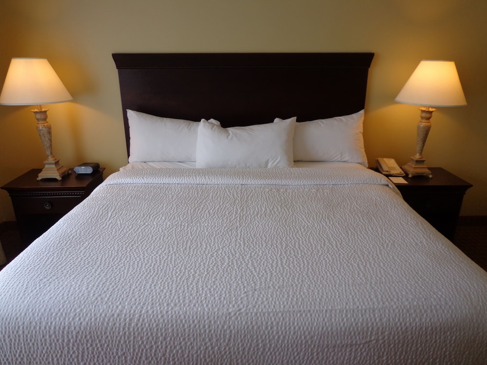 Euro Suites Hotel 19/52