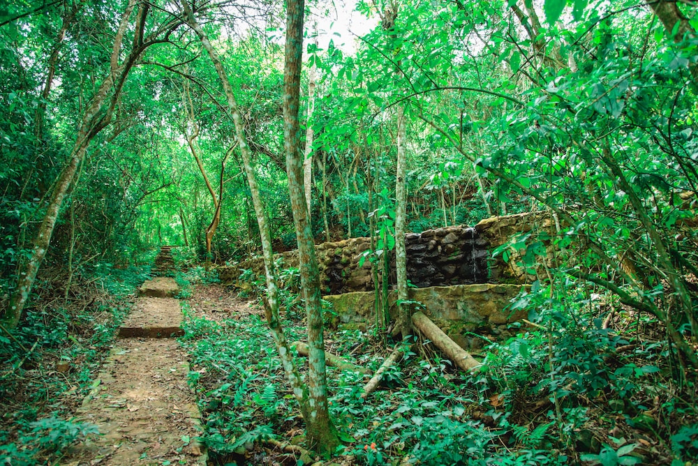 CANZI CATARATAS HOTEL 44/50