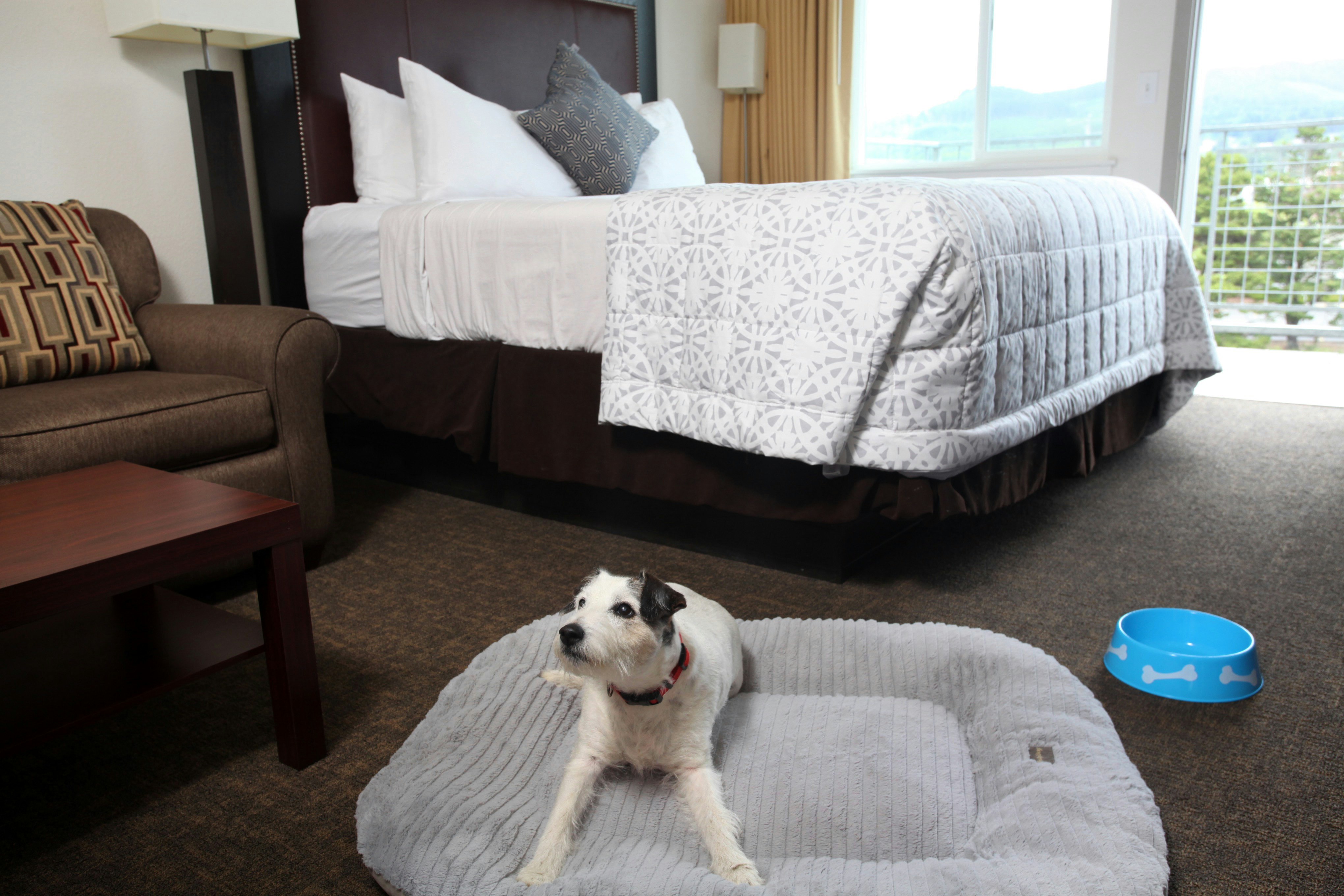 River Inn at Seaside 17/52