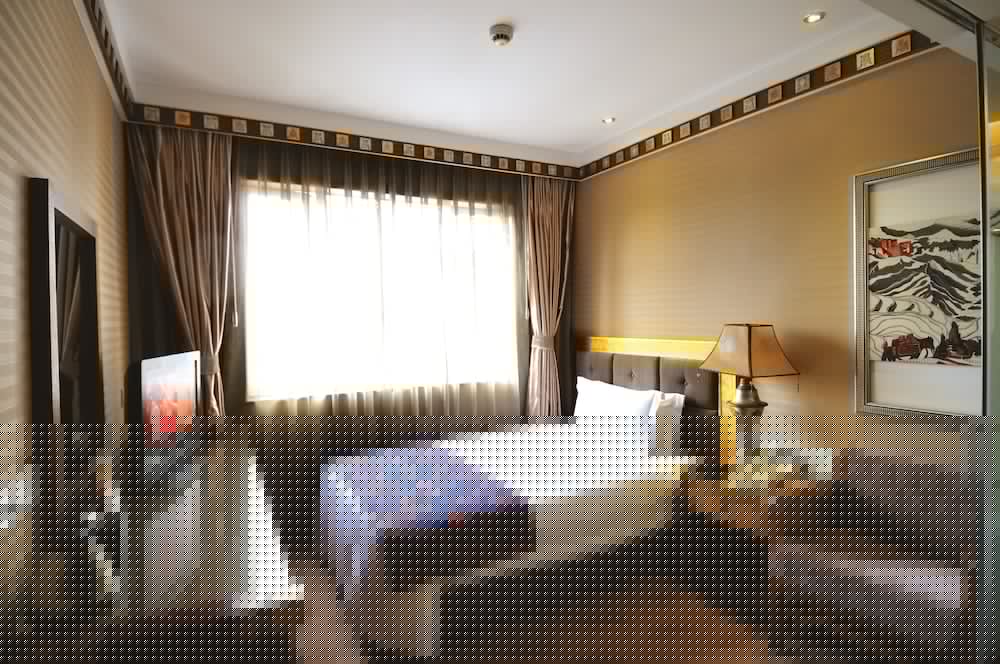 Tibet Hotel Chengdu 15/50