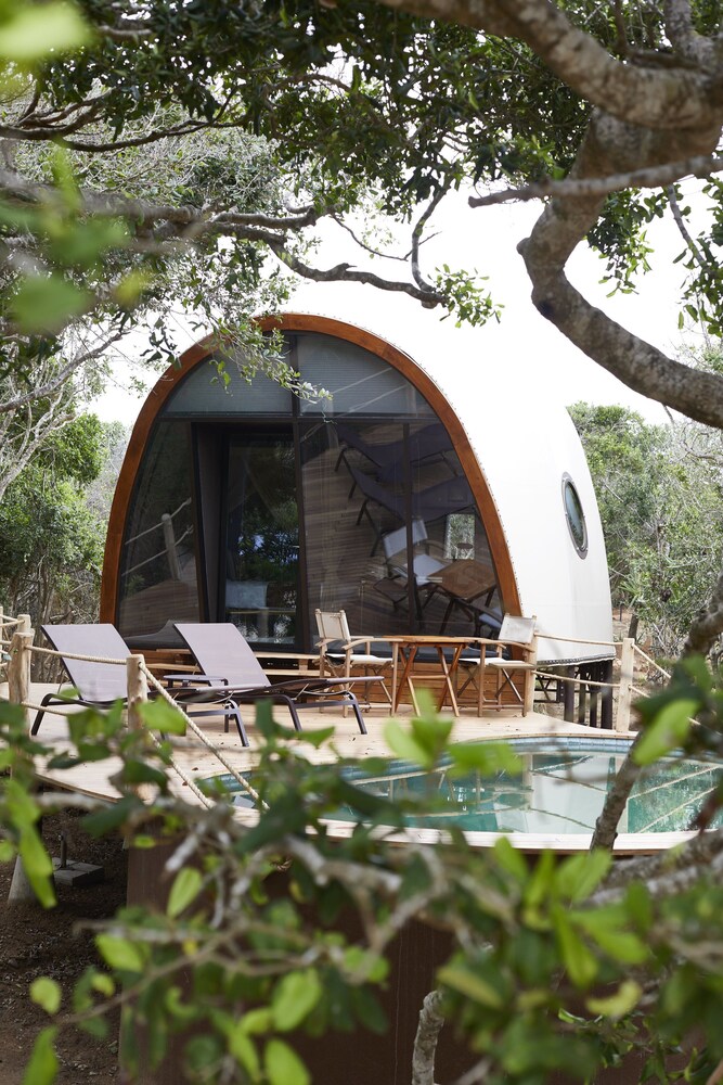 Wild Coast Tented Lodge in PALATUPANA