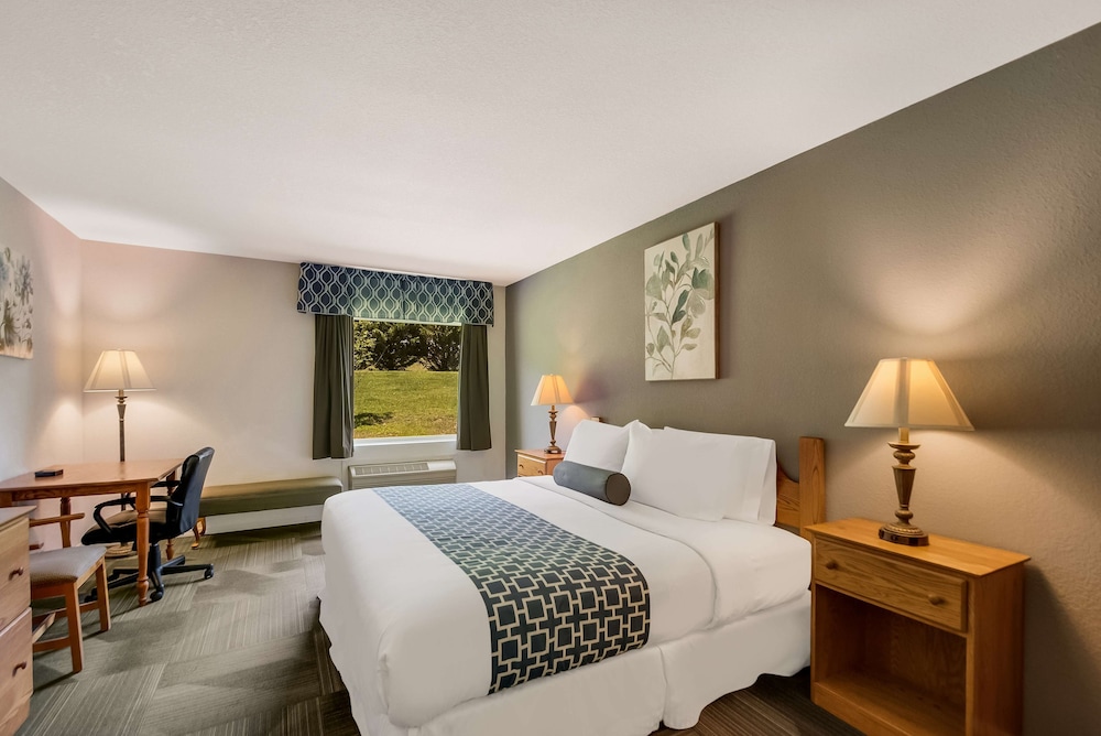 Standard, King Bed, Accessible