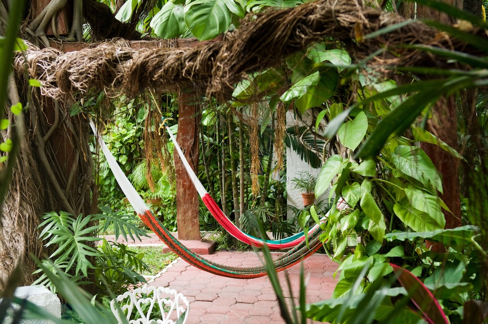 Eco Hotel El Rey del Caribe 38/50