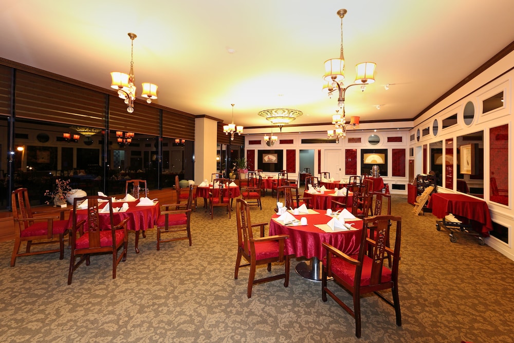 Hotel Bears 34/46