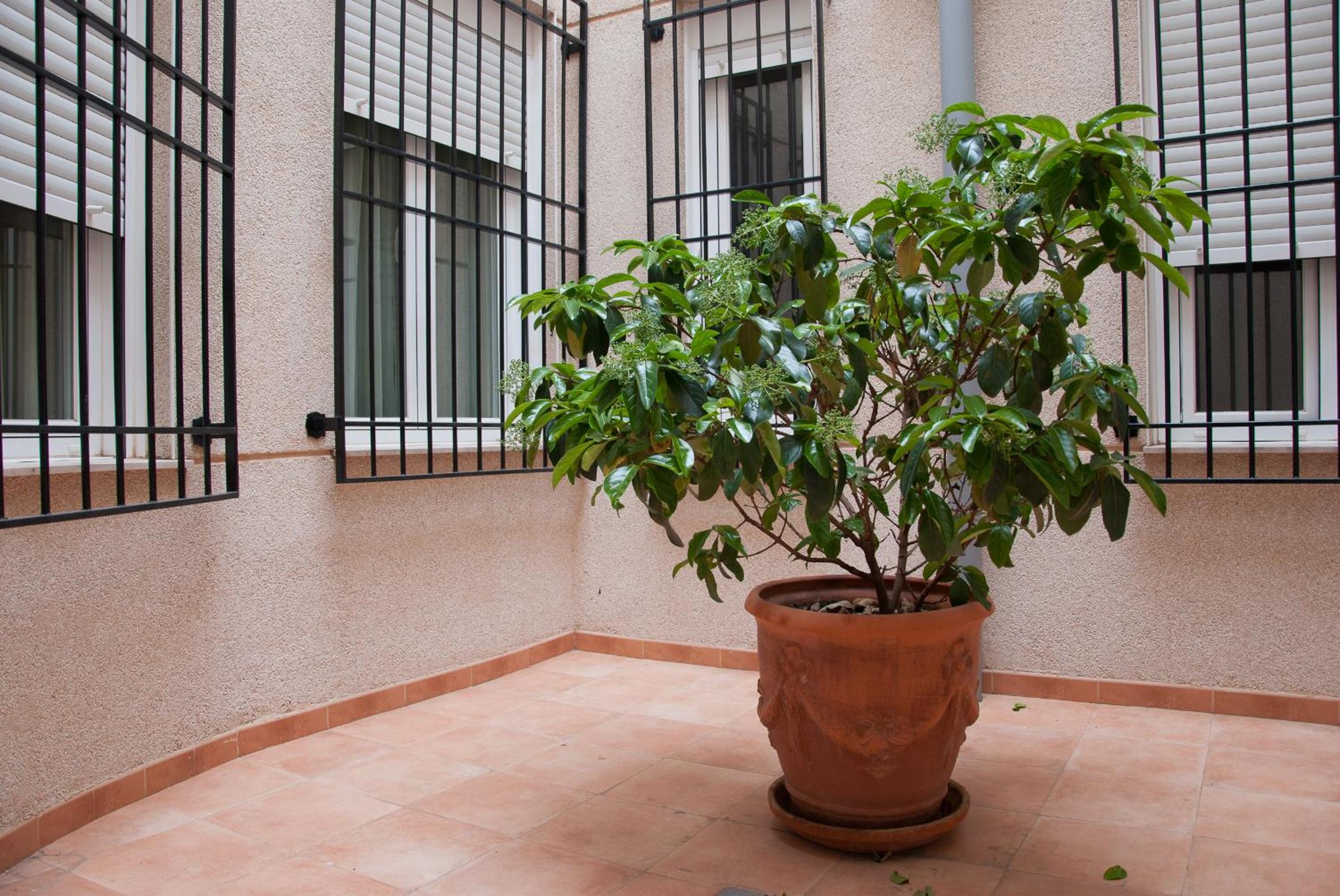 Hotel Hidalgo Quijada 58/62