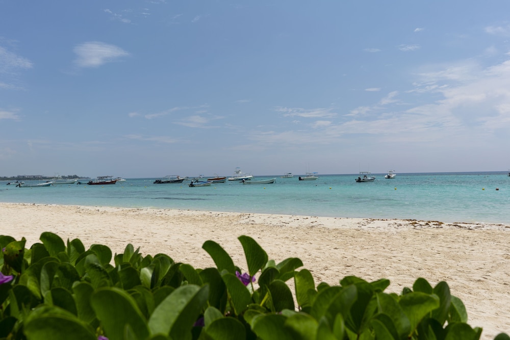 The Reef Coco Beach Resort & Spa – Optional All Inclusive 62/66