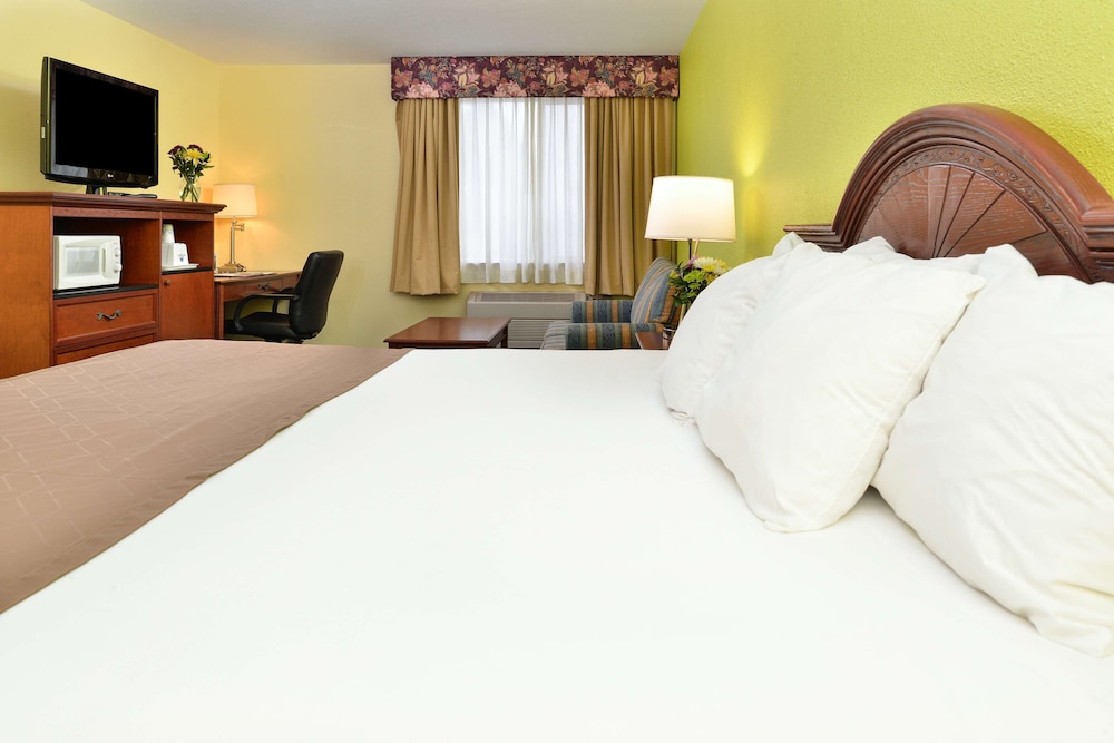 Americas Best Value Sandman Inn 13/37