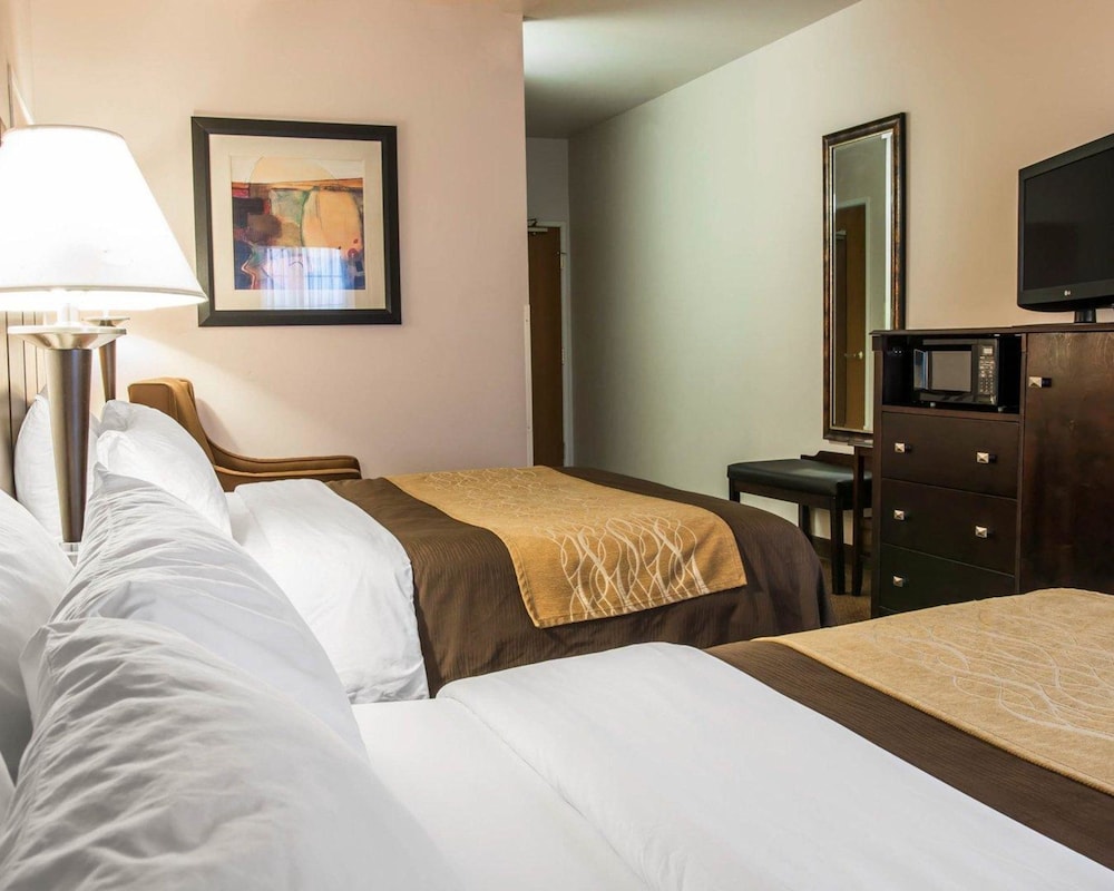 Comfort Inn and Suites Fenton MI 20/50
