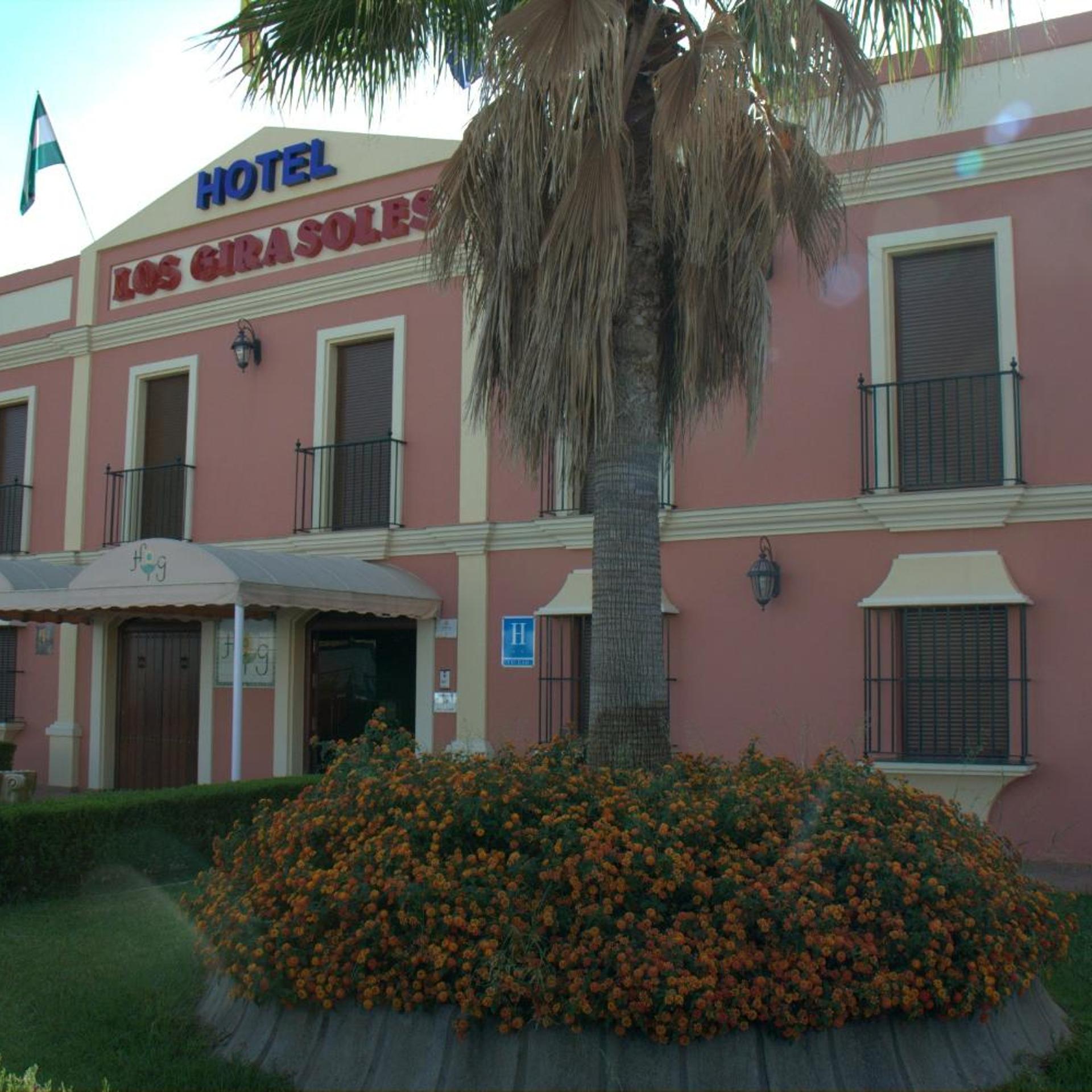 Hotel los Girasoles 40/50