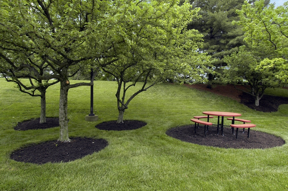 Red Roof Inn Cincinnati Northeast - Blue Ash 22/28
