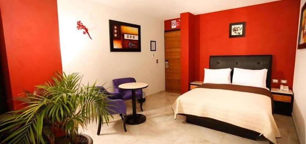Hotel Leones 18/37