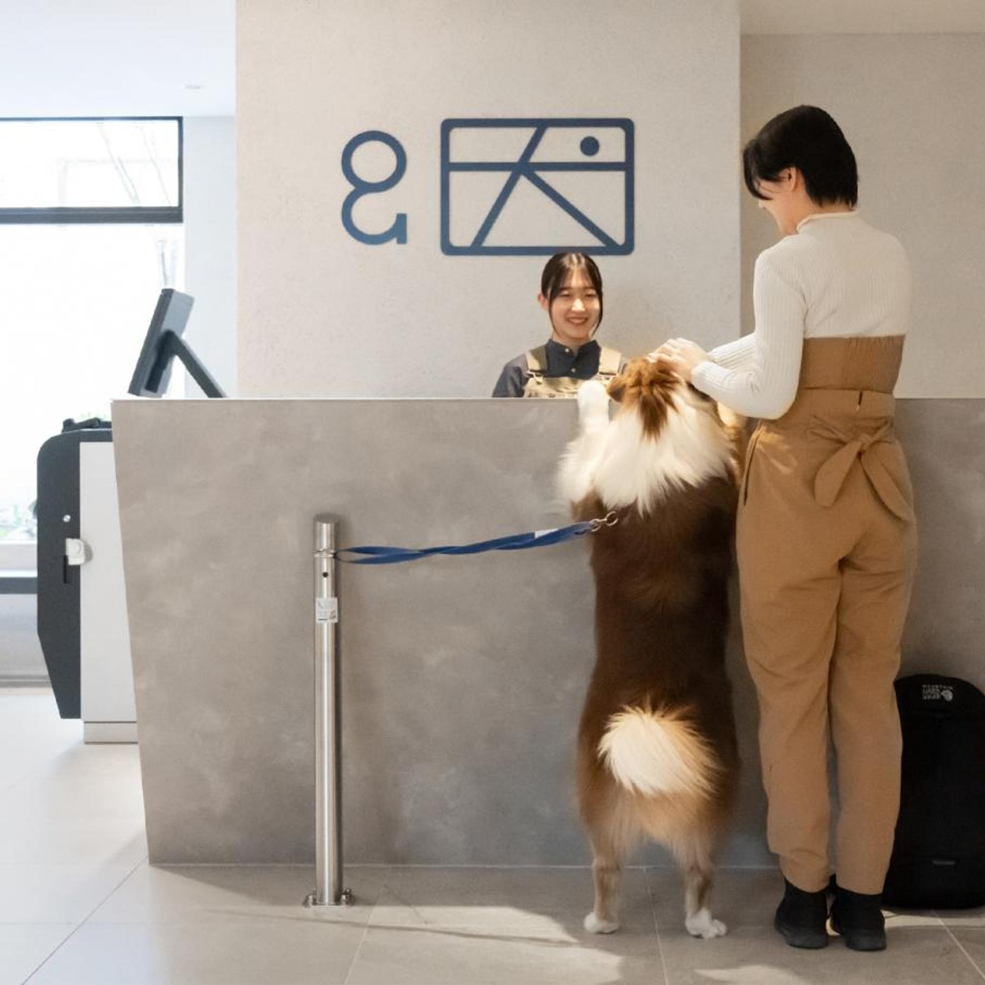 hotel anddoggy Kyoto Nijo 8/50