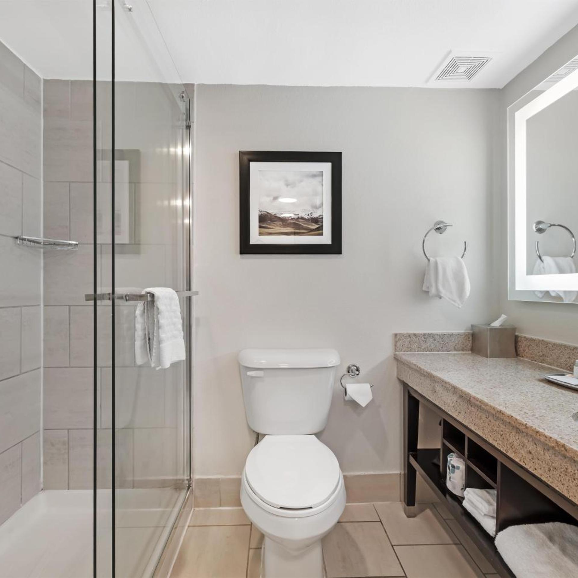Executive Residency by Best Western Denver East 64/67
