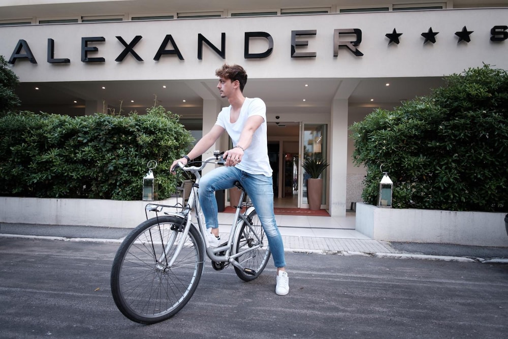 Hotel Alexander 27/50