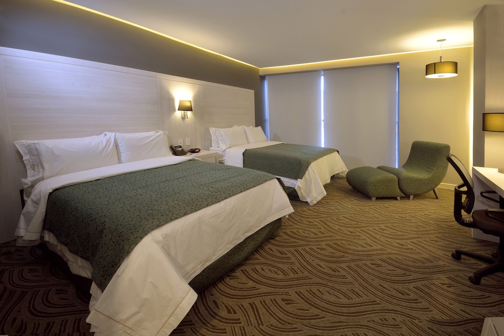 Holiday Inn Express Pachuca 16/57