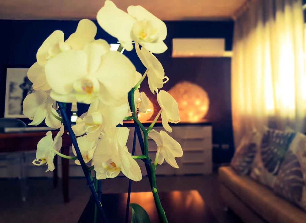 Hotel Caraibi 21/50