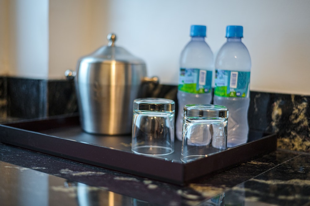 Sago Palm Hotel 写真2