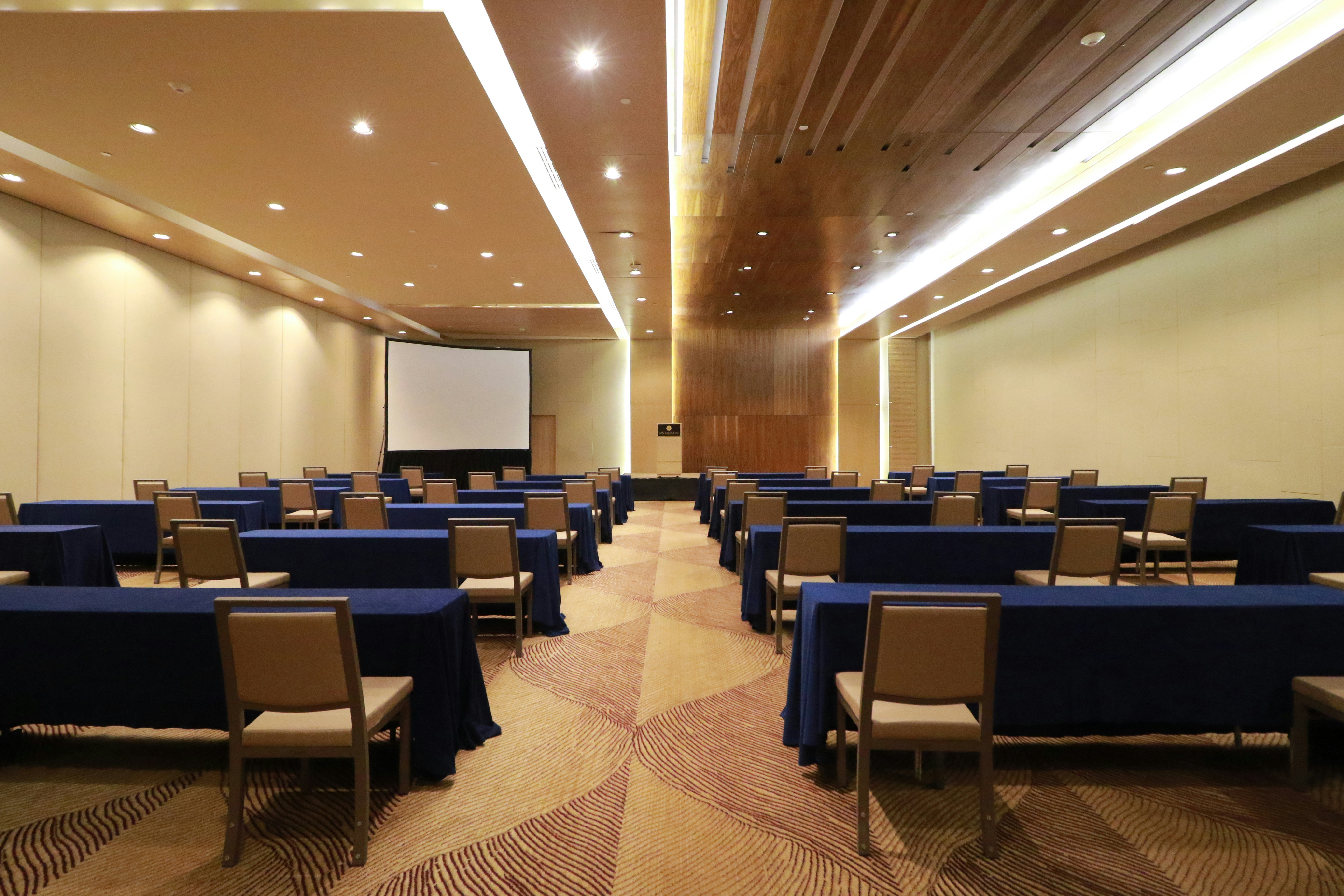 MS Milenium Monterrey Curio Collection by Hilton 66/77