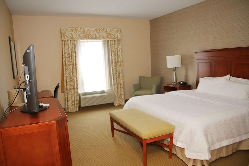 Hampton Inn Detroit North Auburn Hills 17/45